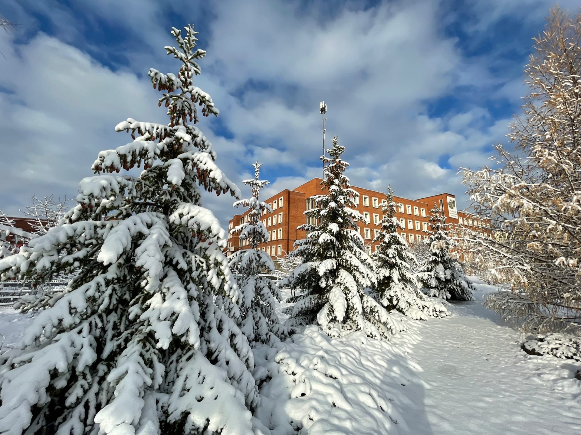 LVIII УРАЛО-ПОВОЛЖСКАЯ АРХЕОЛОГИЧЕСКАЯ КОНФЕРЕНЦИЯ СТУДЕНТОВ И МОЛОДЫХ УЧЁНЫХ (УПАСК)